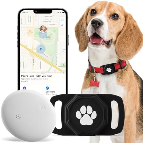 Ztobny pet location tracker attached to a dog collar during outdoor walk