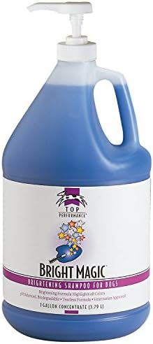 Top Performance Plastic Pet Gallon Pump Dispenser full assembly