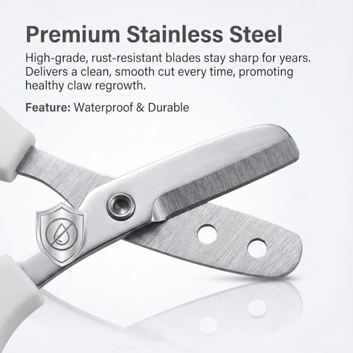 Lizard and turtle grooming scissors showing high grade durable construction.