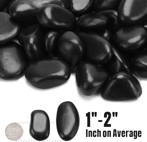 Black river rocks used as succulent plant top dressing