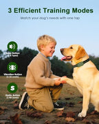 Tagoon dog shock collar remote control with digital backlit LCD screen and security keypad lock.