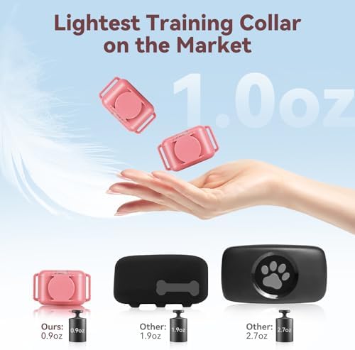 PetVogue remote controller highlighting the clear digital display and the integrated security keypad lock switch.