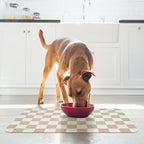Coorug Absorbent Leak-Proof Pet Feeding Mat easy wipe cleaning