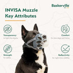 Baskerville Invisa muzzle with anti-scavenging guard