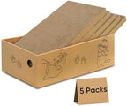 AGYM five packs in one cat scratch pad showing a playful kitten resting on the reversible cardboard surface.