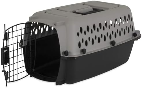 Generic hard sided pet carrier enclosed secure travel setup
