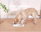 Ralxion Scalloped Dog Feeding Mat styled with pet bowls