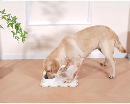 Ralxion Scalloped Dog Feeding Mat styled with pet bowls