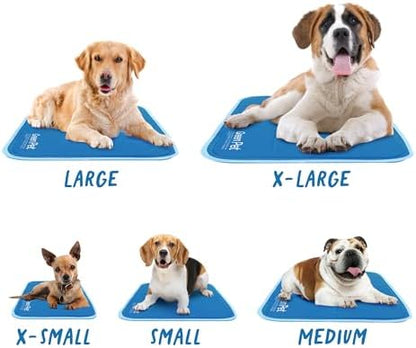 The Green Pet Shop dog cooling mat used inside a pet crate