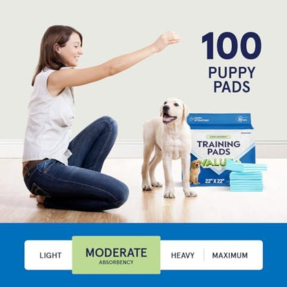 Quick dry surface puppy training pad displaying the 22 inch by 22 inch dimensions