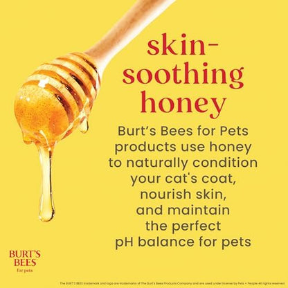 Fragrance-free pH balanced gentle feline shampoo for kitten bathing care