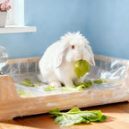 Transparent 37.5 by 27.5 inches leak proof plastic film for small animals.