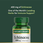 Echinacea purpurea whole herb immune wellness capsules 400mg