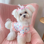 Group of 100 colorful puppy bows for grooming and photoshoots