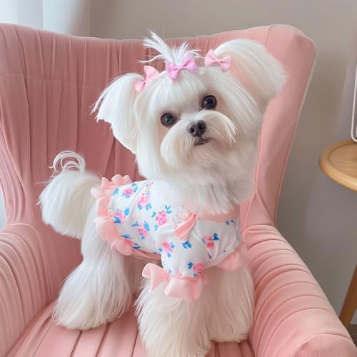 Group of 100 colorful puppy bows for grooming and photoshoots