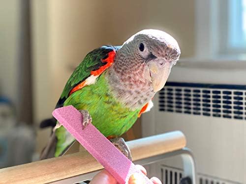 Parrot Wizard grooming tool packaged for bird claw care