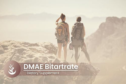 USA imported Pure Original Ingredients DMAE dietary supplement capsule presentation