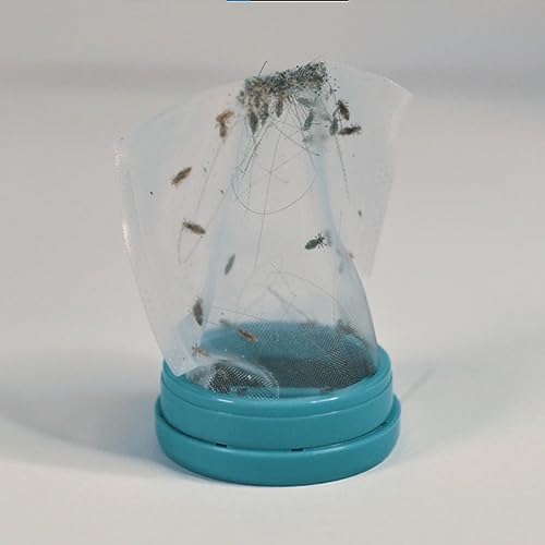 Handheld chemical free lice treatment device for children and adults.