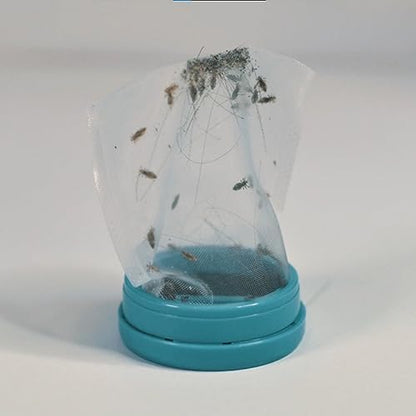 Handheld chemical free lice treatment device for children and adults.