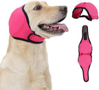 Small dog wearing Leotrag calming hoodie for noise relief