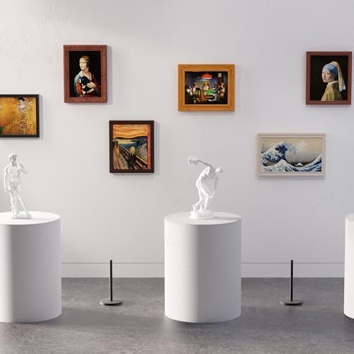 Detailed micro-canvas collectibles showing embossed textures and premium art accessories