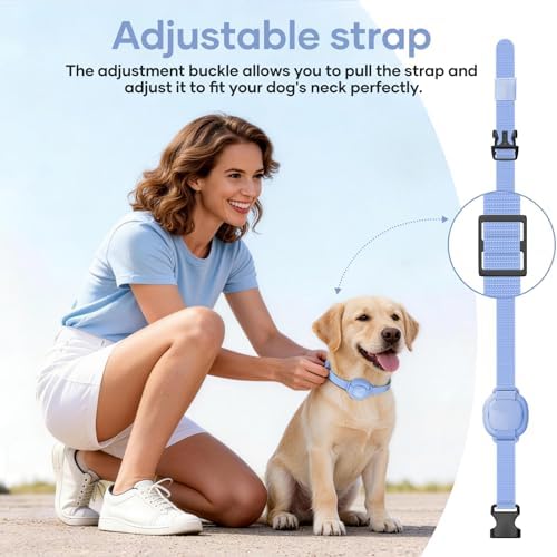 Rechargeable small dog shock collar remote control with keypad safety lock