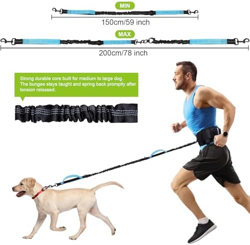 Premium stainless steel 360 degree anti tangle swivel clip on the blue dog leash