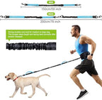 Premium stainless steel 360 degree anti tangle swivel clip on the blue dog leash