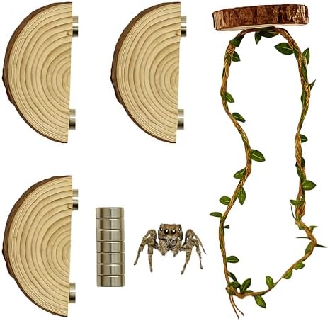 Jumping Spider Enclosure Accessories Kit, Habitat Decor-3 Wood Ledges & 1 Climbing Rope - Image 2