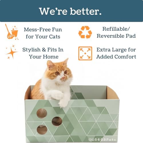 Premium imported 5609PETS feline lounge and scratcher box overhead view