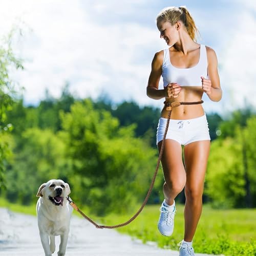 Full 8 foot length view of Mile High Life dog leash