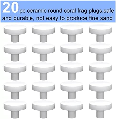 Top view of Saricho white coralline coral plugs for marine fish tanks.