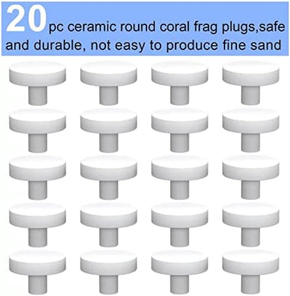 Top view of Saricho white coralline coral plugs for marine fish tanks.