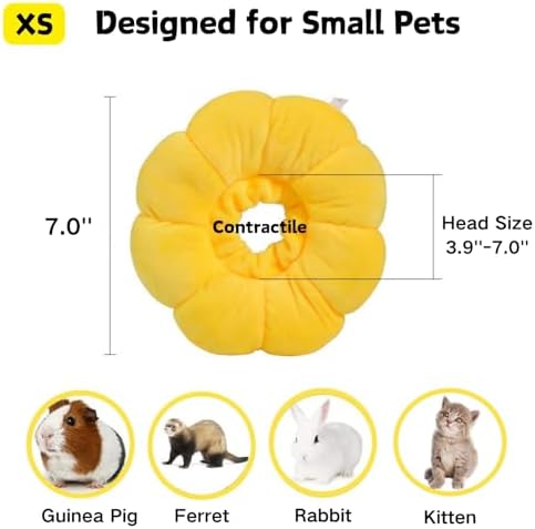 Yellow sunflower donut cone for small cat recovery after surgery wound healing.