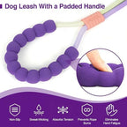 Dual traffic handles on EffiBrill dog training leash