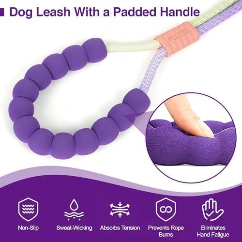 Dual traffic handles on EffiBrill dog training leash