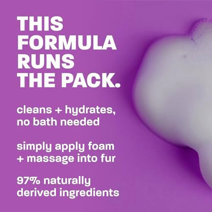 Aqua de Coco scented TropiClean cat shampoo foam close up of label instructions