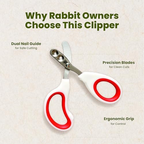 Premium guinea pig grooming scissors packaging and instructions