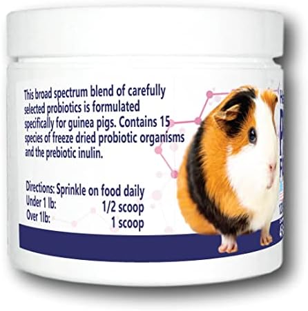 All natural guinea pig probiotic powder jar with included measuring scoop