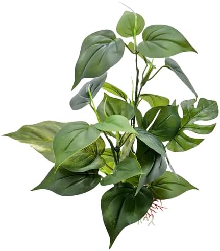 M2cbridge aquatic water grass foreground decor close up heart shaped leaves