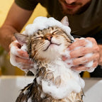 Xixisusu hypoallergenic pet wash placed on a clean background.