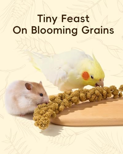 BUCATSTATE 60PCS Natural Hamster Bedding - Flowers & Herbs & Sprays for Cage Habitat Decor - Treat Cereal Grain for Dwarf Syrian Gerbils, Mice, Rat, Forage, Enrichment. - Image 6