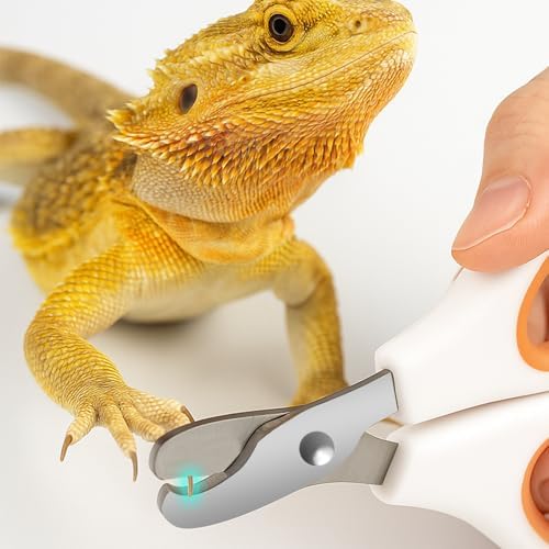 Premium USA imported bearded dragon grooming accessories on neutral background