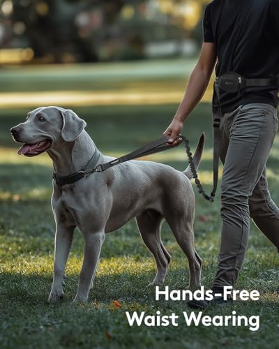 MIDOG dog leash showing car seat belt buckle attachment