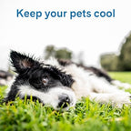 Foldable lightweight travel cooling pad for dogs and cats