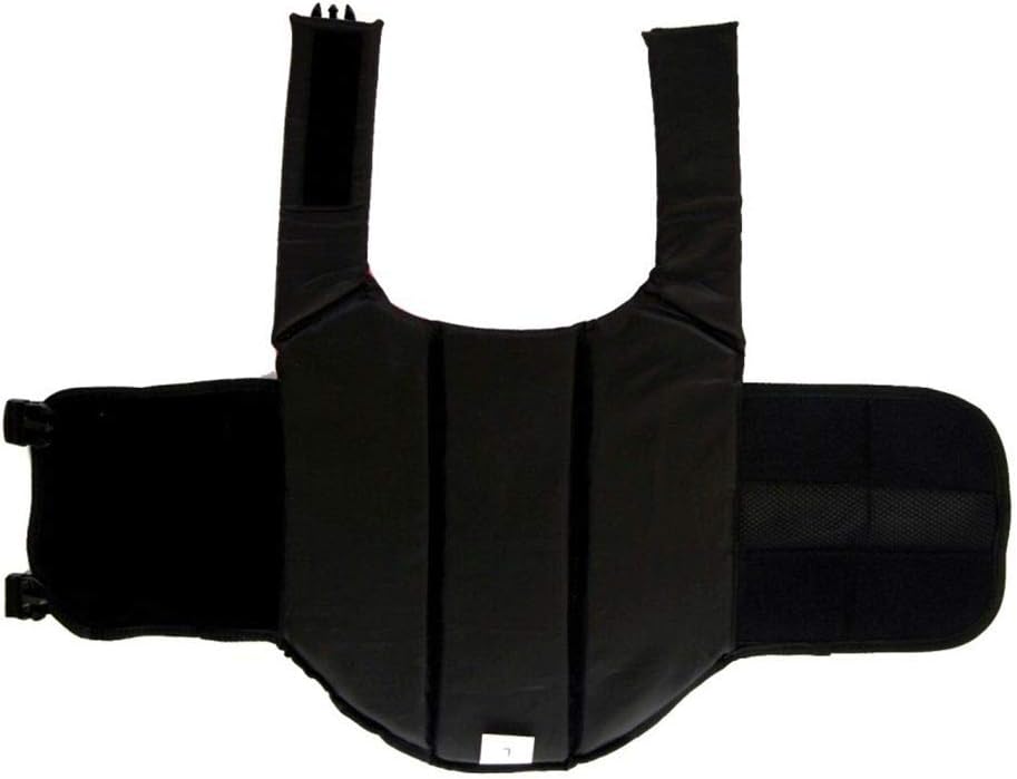 ChezAbbey dog safety swimsuit showing buckles and straps