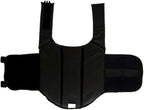 ChezAbbey dog safety swimsuit showing buckles and straps