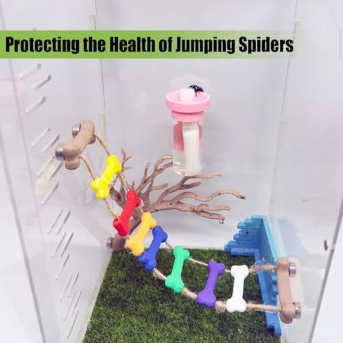 Jumping Spider Water Dispenser, Magnetic Hanging Feeder,Suitable for Jumping Spiders,Tarantulas, Praying Mantises,Arboreal Animals, and Other Small Animal Enclosure Accessories (Pink, 5ML) - Image 4