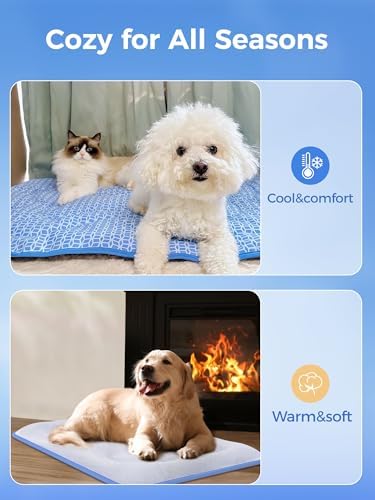 Machine Washable Rywell Dog Cooling Mat In Home Environment