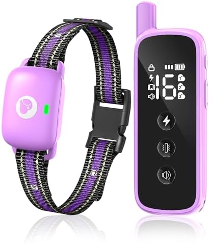 Purple electronic dog training collar with reflective nylon strap layout